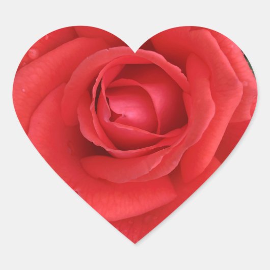 Autocollant de rose (Devant)