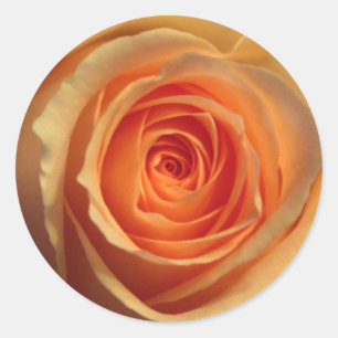 Autocollant de rose jaune
