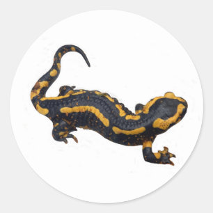 Autocollant de salamandre de feu