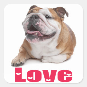 Autocollant de salutation de chiot Bouledogue Angl