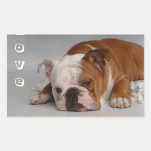 Autocollant de salutation pour chiot bouledogue an