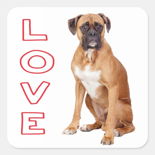 Autocollant de salutation pour chiot Boxer (Devant)