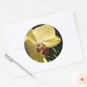 Autocollant de scellement d'enveloppe Orchidée Jau (Enveloppe)