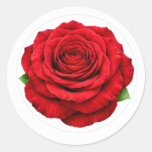 Autocollant de scellement d'enveloppe rond rose ro
