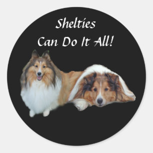 Autocollant de Sheltie