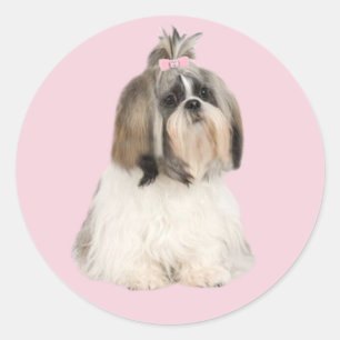 Autocollant de Shih Tzu