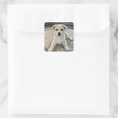 Autocollant de surcharge de marionnettes mignon (Sac)