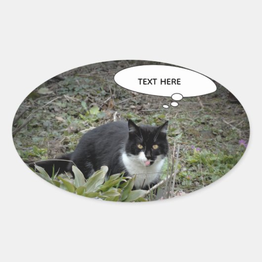 Autocollant de texte personnalisé de photo de chat (Devant)