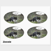 Autocollant de texte personnalisé de photo de chat (Feuille)