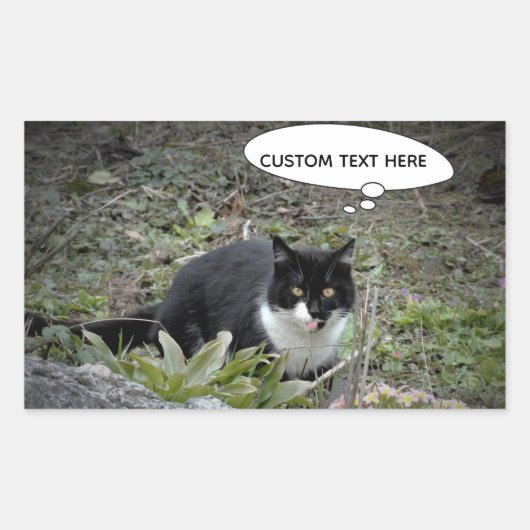 Autocollant de texte personnalisé de photo de chat (Devant)