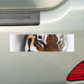 Autocollant de tigre (En voiture)