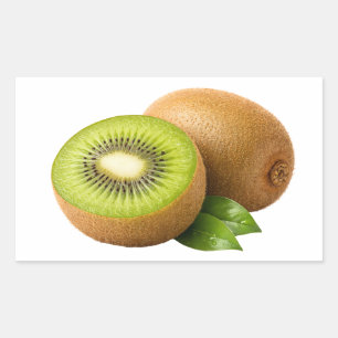 Autocollant de tranche de kiwi frais et de fruit e