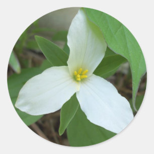 Autocollant de Trillium