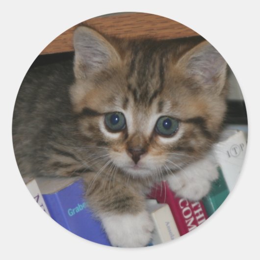 Autocollant de ver de livre (Devant)