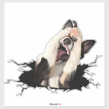 Autocollant de visage de chien de Fanny