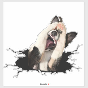 Autocollant de visage de chien de Fanny