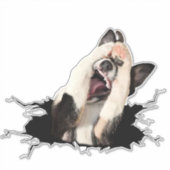 Autocollant de visage de chien de Fanny (Devant)