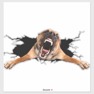 Autocollant de visage de chien de Fanny
