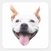 Autocollant de visage personnalisé, visage de chie (Devant)