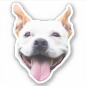 Autocollant de visage personnalisé, visage de chie (Devant)