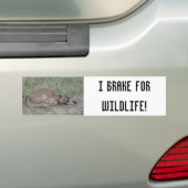 Autocollant De Voiture A6 Baby Pronghorn Antelope (En voiture)