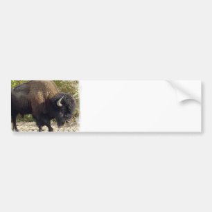 Autocollant De Voiture Adhésif pour pare-chocs américain de Buffalo