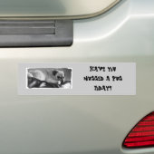 Autocollant De Voiture Adhésif pour pare-chocs avec le carlin (En voiture)
