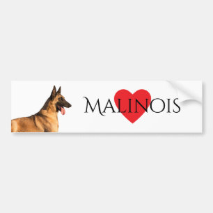 Autocollant De Voiture Adhésif pour pare-chocs belge de Malinois de