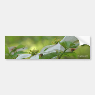 Autocollant De Voiture Adhésif pour pare-chocs blanc de photo de fleur d
