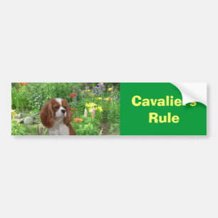 Autocollant De Voiture Adhésif pour pare-chocs cavalier d'épagneul du R