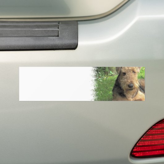 Autocollant De Voiture Adhésif pour pare-chocs d'Airedale Terrier (En voiture)