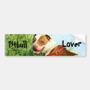 Autocollant De Voiture Adhésif pour pare-chocs d'amant de Pitbull