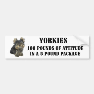 Autocollant De Voiture Adhésif pour pare-chocs d'attitude de Yorkie