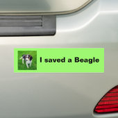 Autocollant De Voiture Adhésif pour pare-chocs de beagle (En voiture)