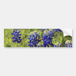 Autocollant De Voiture Adhésif pour pare-chocs de Bluebonnets de Texas