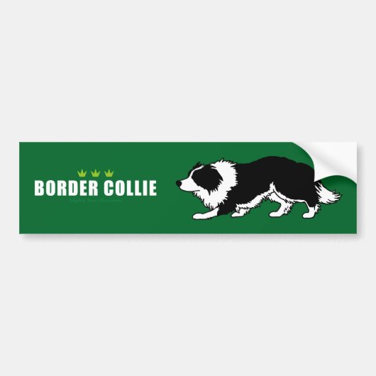 Autocollant De Voiture Adhésif pour pare-chocs de border collie (Devant)