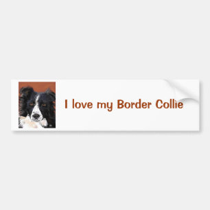 Autocollant De Voiture Adhésif pour pare-chocs de border collie