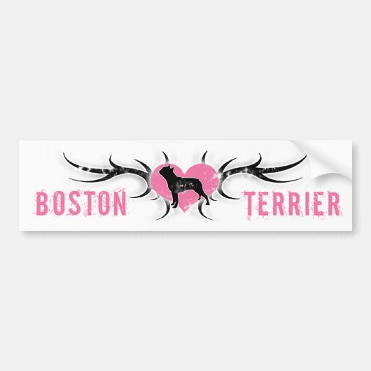 Autocollant De Voiture Adhésif pour pare-chocs de Boston Terrier (Devant)