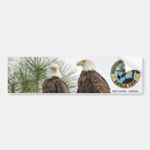 Adhésif pour pare-chocs de came d'Eagle