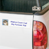 Autocollant De Voiture Adhésif pour pare-chocs de chat de ragondin du (Sur camion)