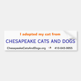 Autocollant De Voiture Adhésif pour pare-chocs de chats et de chiens de