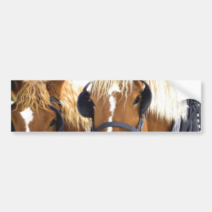 Autocollant De Voiture Adhésif pour pare-chocs de chevaux de trait de