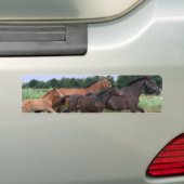 Autocollant De Voiture Adhésif pour pare-chocs de chevaux sauvages (En voiture)