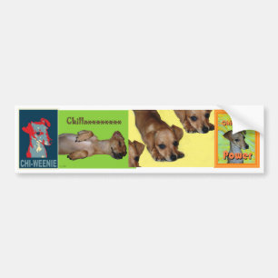 Autocollant De Voiture adhésif pour pare-chocs de Chi-saucisses