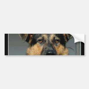 Autocollant De Voiture Adhésif pour pare-chocs de chien de berger