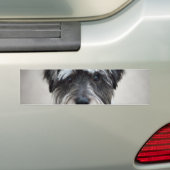 Autocollant De Voiture Adhésif pour pare-chocs de chien de Schnauzer (En voiture)