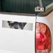 Autocollant De Voiture Adhésif pour pare-chocs de chien de Schnauzer (Sur camion)