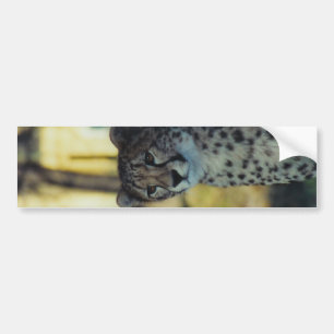 Autocollant De Voiture Adhésif pour pare-chocs de guépard
