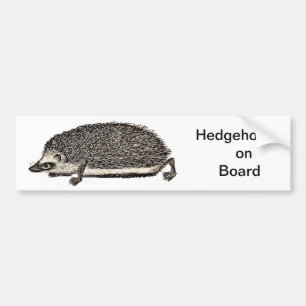 Autocollant De Voiture ADHÉSIF POUR PARE-CHOCS de hérisson à bord -