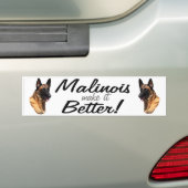 Autocollant De Voiture Adhésif pour pare-chocs de Malinois de Belge (En voiture)